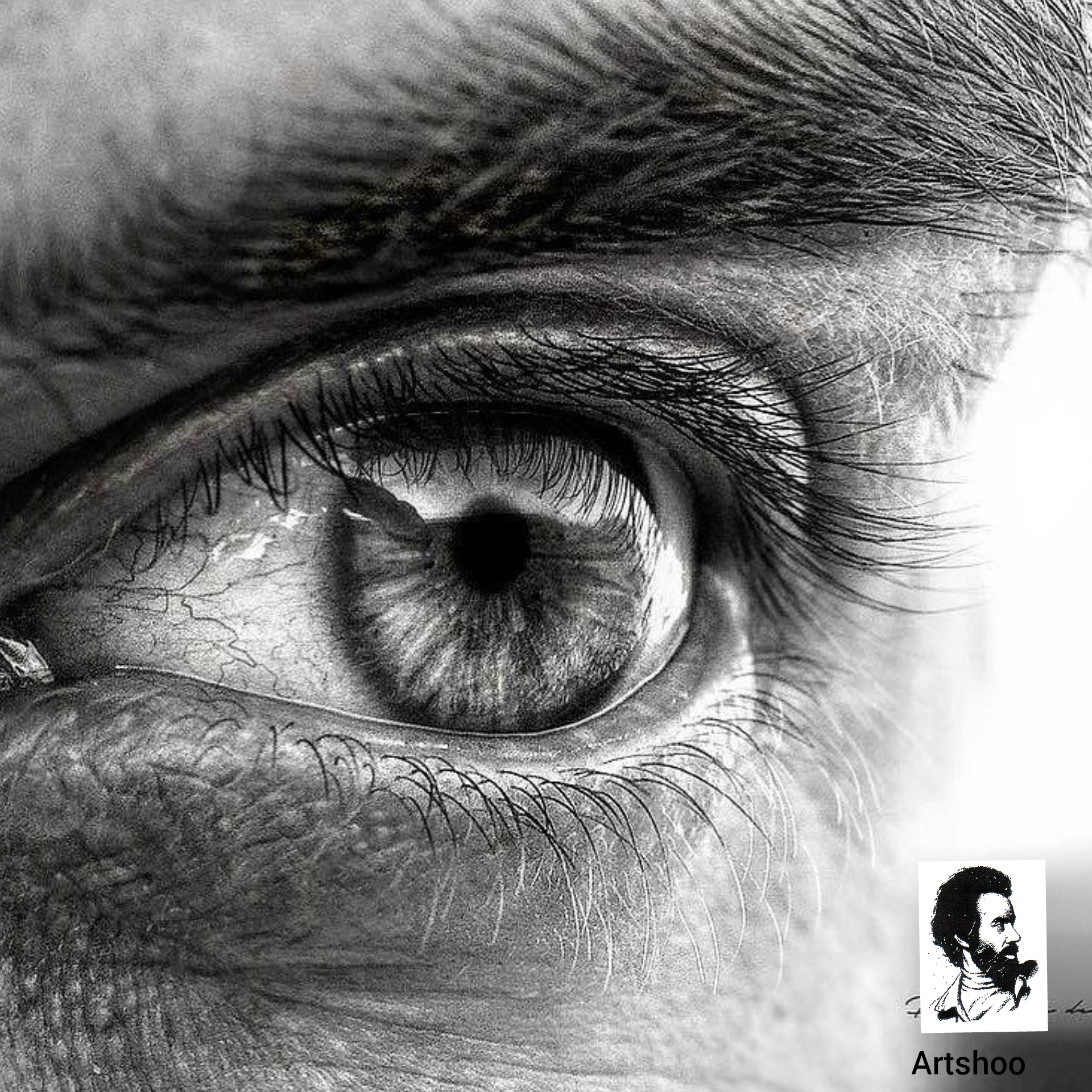 مدل سیاه قلم اورژینال